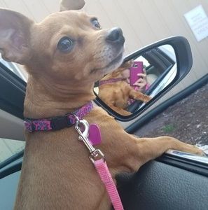 Meet your Posher, Heather